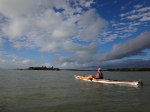 DSC00352 (1)